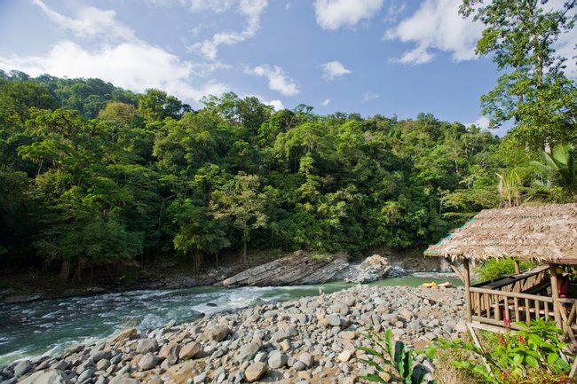 Ave Sol - Tropical Rivers  - Pacuare, Costa Rica | Anywhere Photo